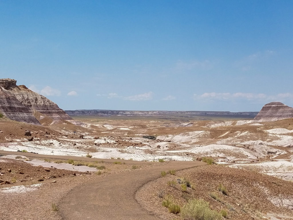 Petrified Forest National Park