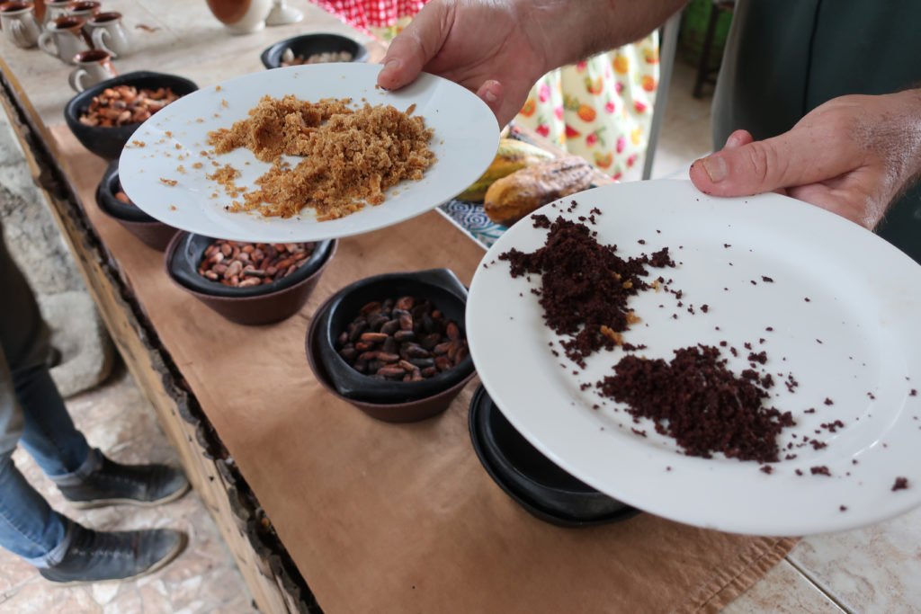 Jungle Joe Cocoa Sampling