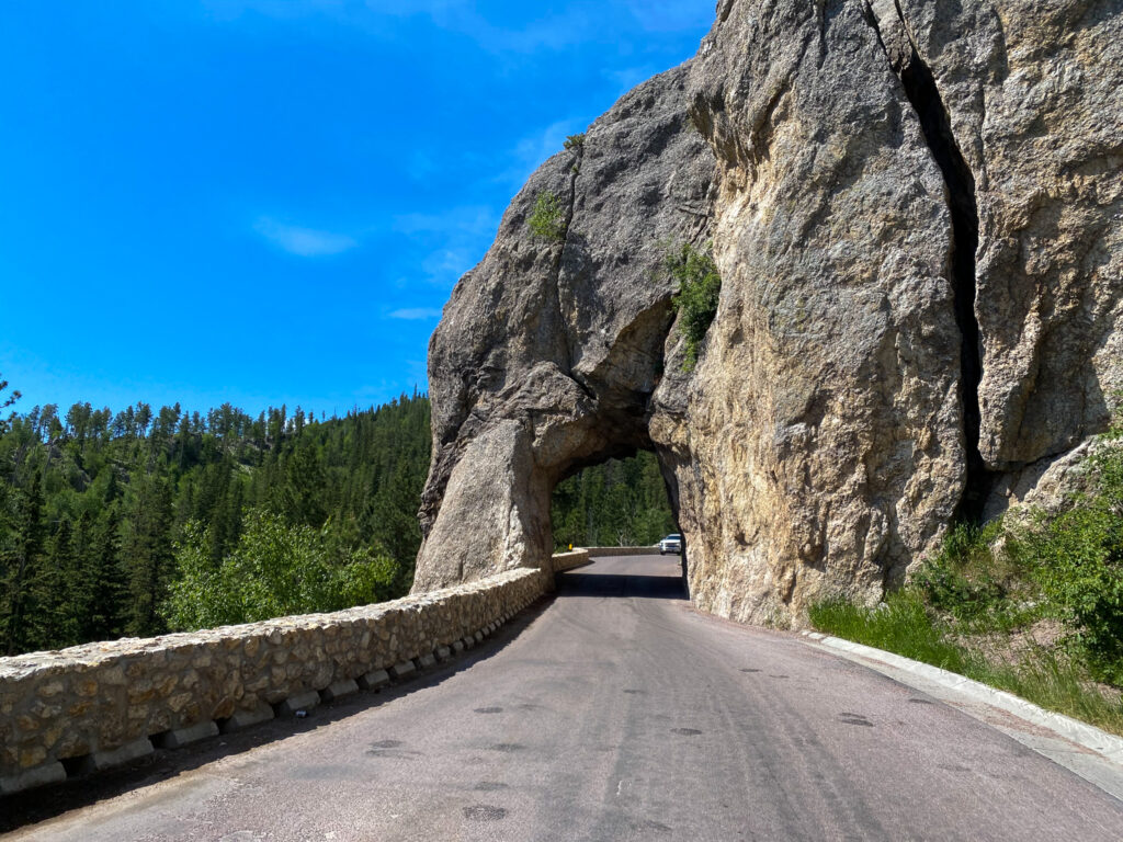 Black Hills Scenic Drive