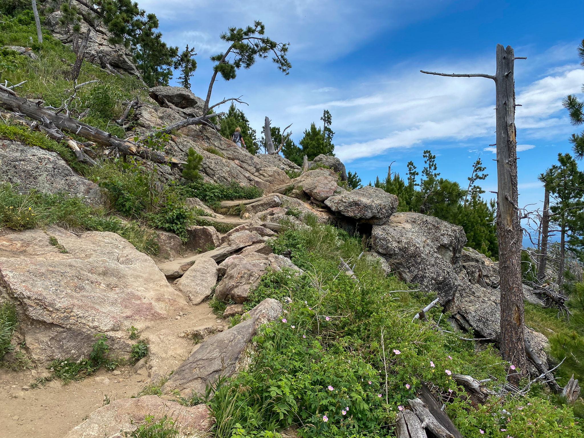 Black Elk Peak