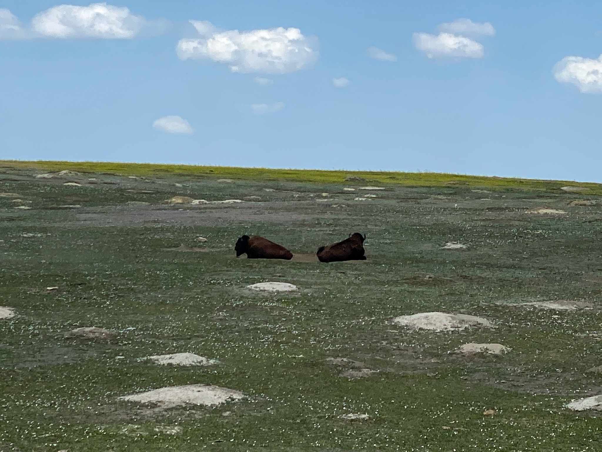Theodore Roosevelt National Park