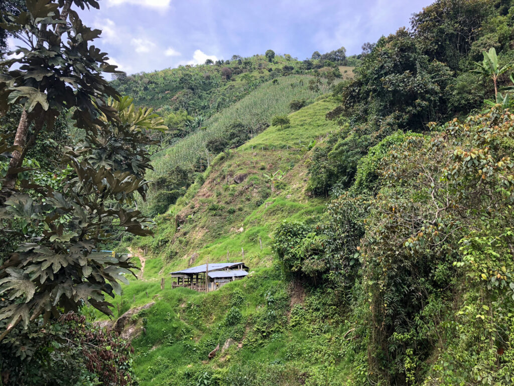 Mountain Bike Medellin