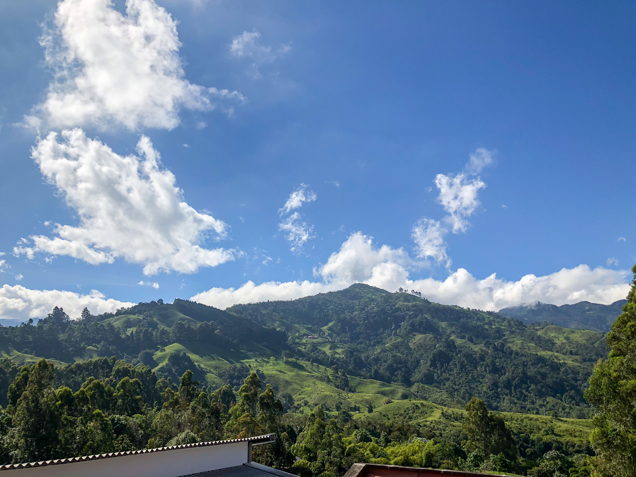 El Viajero Hostel Salento