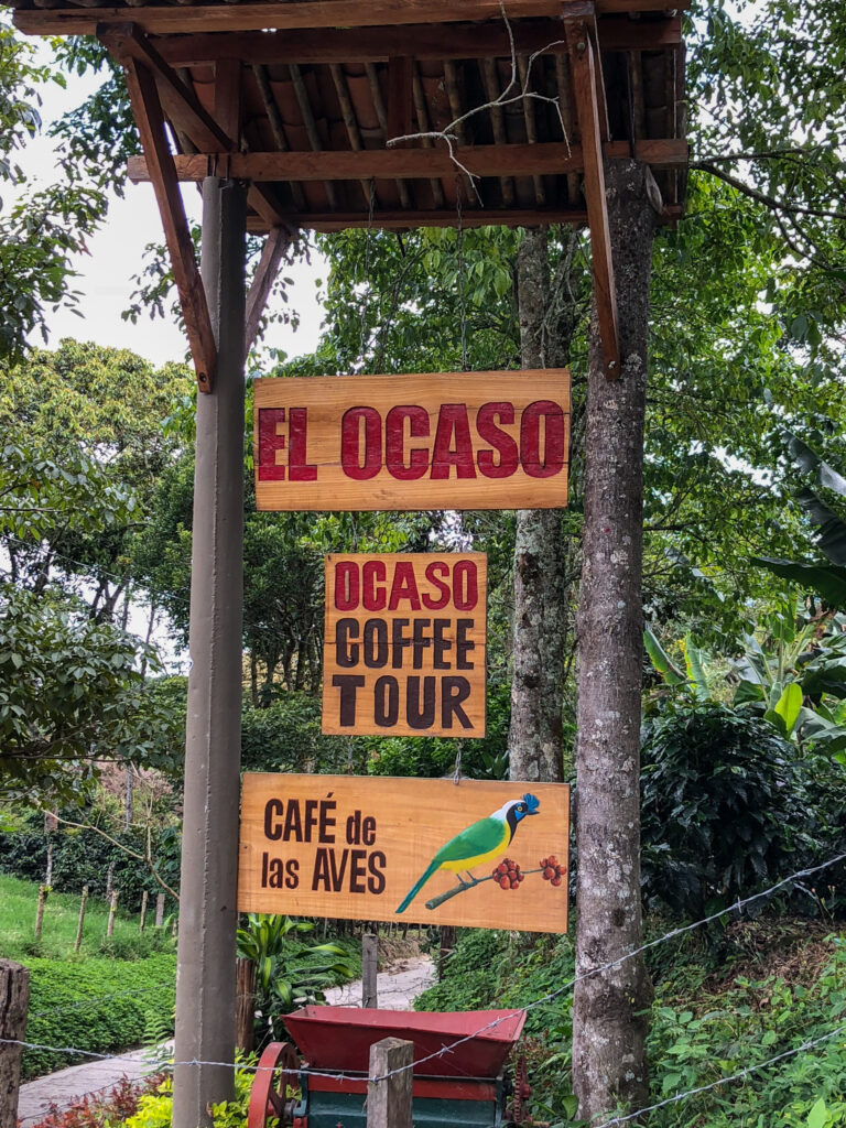 Coffee Farm
